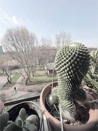 Photo 34