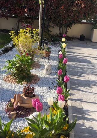 Photo 38